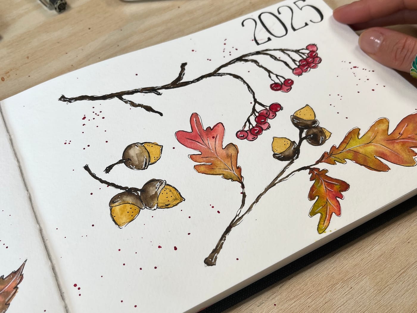 Ink and watercolour study of an autumn branch with acorns, oak leaves and berries