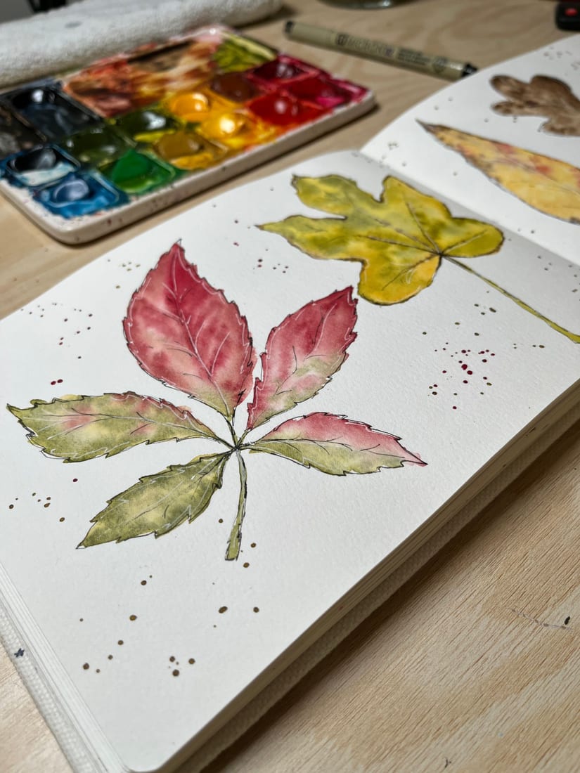Ink and watercolor sketch of a five-leaflet autumn leaf in red and olive green, next to a watercolor palette
